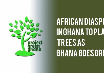 African Diaspora in Ghana to plant trees as Ghana goes green